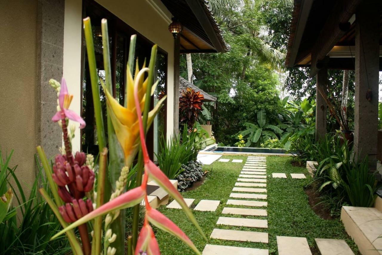 Villa Elysium Fields Canggu Exteriör bild